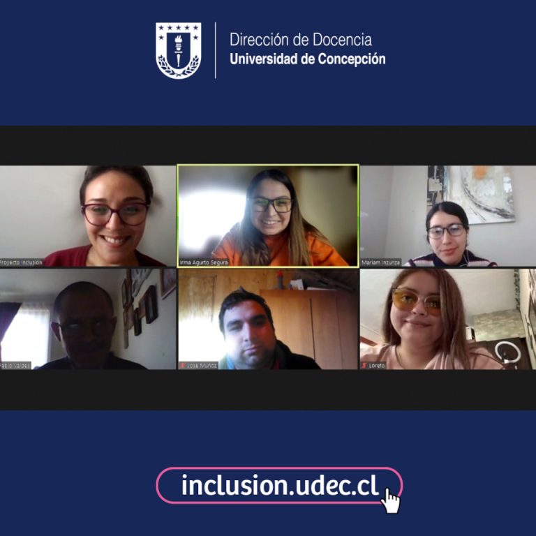 Proyecto Inclusi N Udec Realiz Taller De Empleabilidad Inclusiva