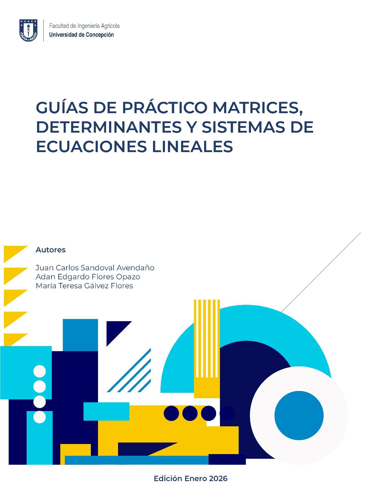 LIBRO GUIAS ALGEBRA LINEAL