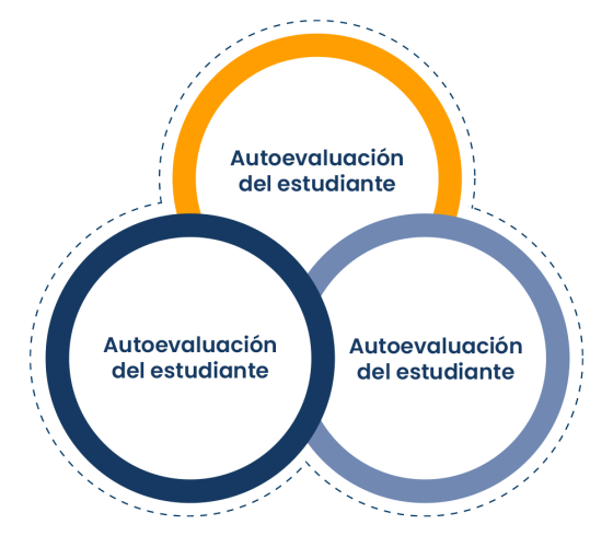infografia-eed-2