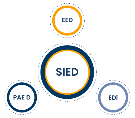 infografia-sied-2